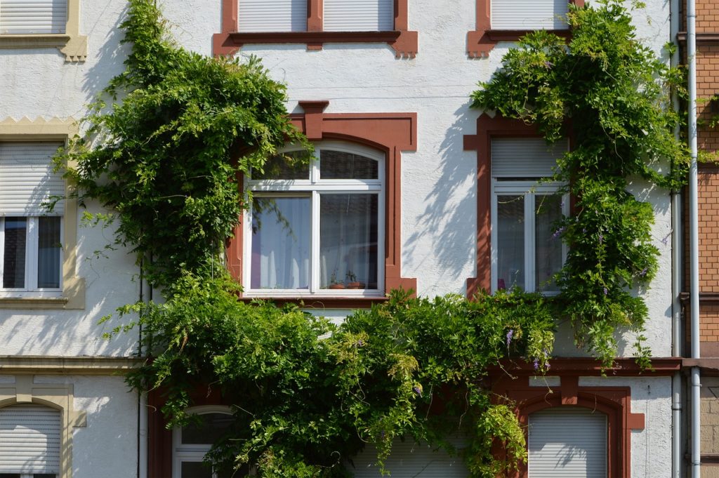 wivena GmbH Naturelemente Fassadenbegrünung